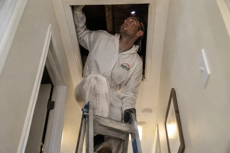 Attic and crawl space rat removal