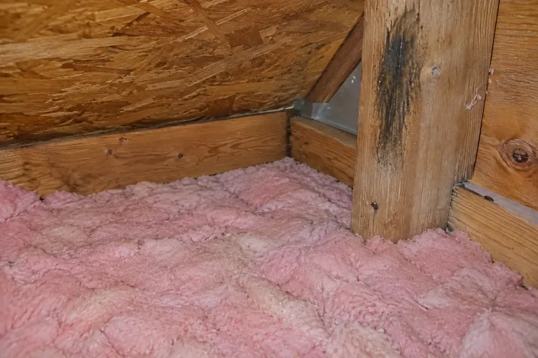 After: Nest and droppings gone, clean floor, eave gap closed with sheet metal