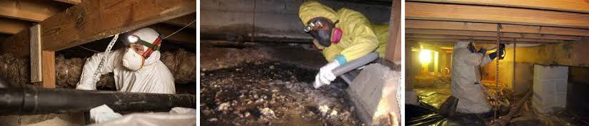 crawl space cleaning services