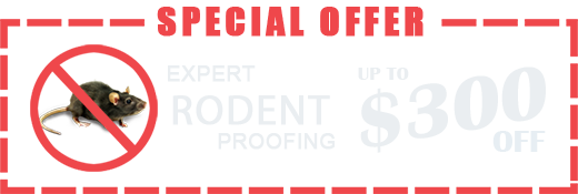 expert rodent proofing special offer